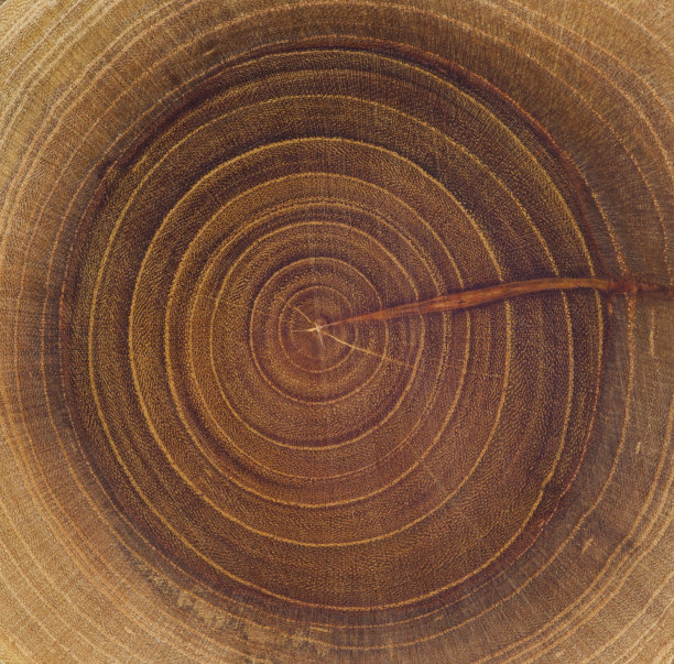 年轮花纹风化木材图片下载