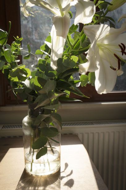 圣约瑟夫百合图片下载