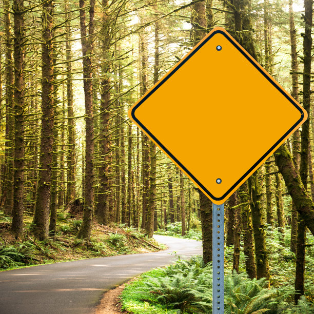 空的黄色路牌图片下载