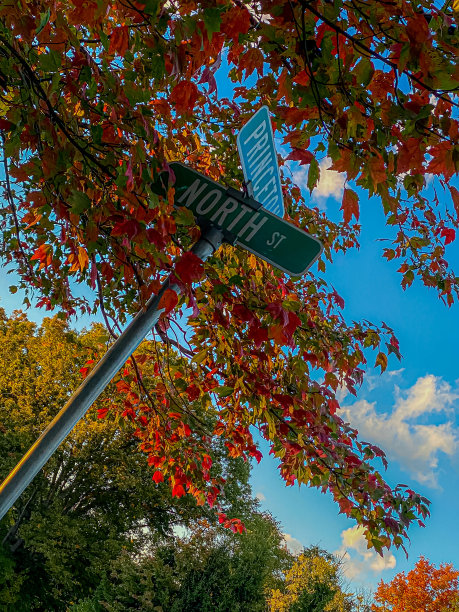 秋天的颜色图片下载