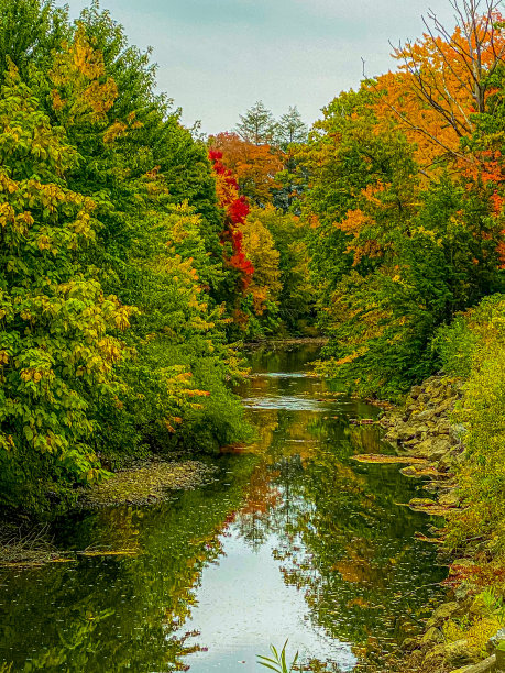 秋天的颜色图片下载