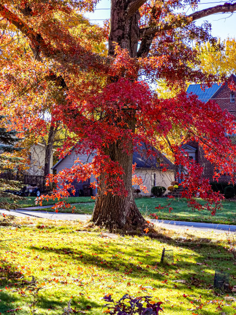 秋天的颜色图片下载