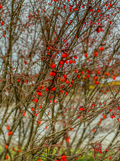 秋天的颜色图片下载