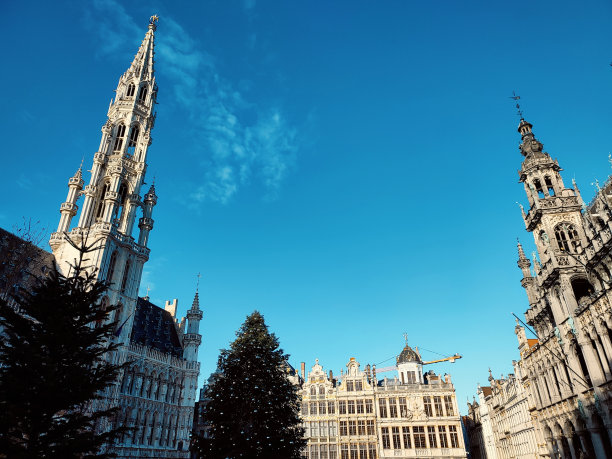 比利时布鲁塞尔市中心的历史大皇宫建筑图片下载