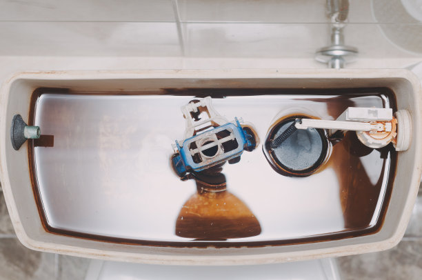 满厕所储水池。开放的机制。浮阀。硬水壁上的水垢。图片下载