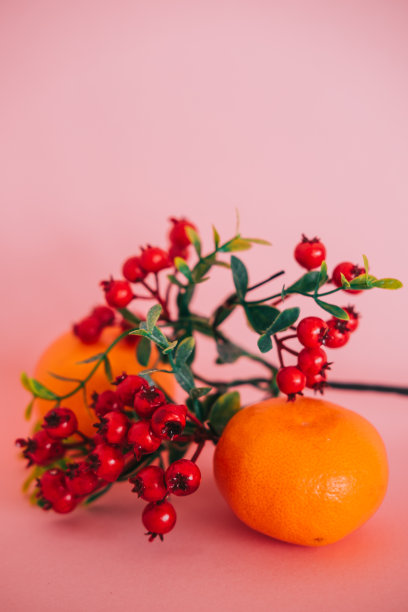 粉色背景上的冬莓枝和两个橘子图片下载