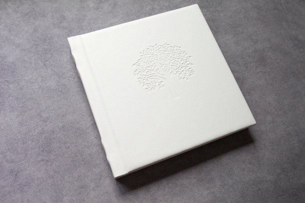 皮面写真书。时尚的婚礼或家庭相册。漂亮的记事本或相片簿与优雅的压花。印刷产品。单个产品。细节图片下载