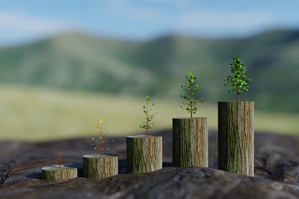 商业硬币赚绿色收入树3d渲染插图墙纸背景背景图片下载