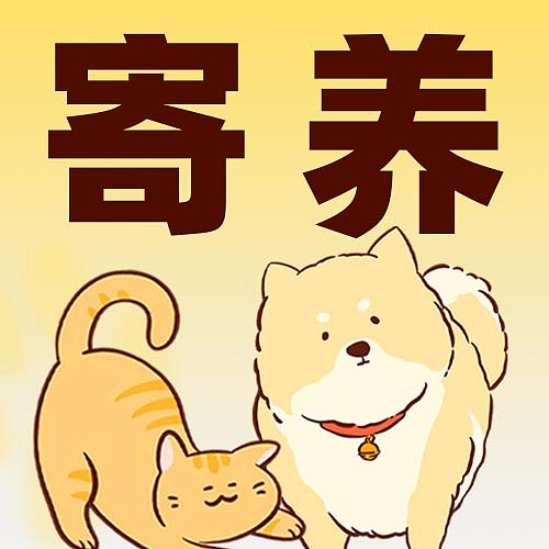 宠物寄养活动促销猫狗插画渐变清新封面设计图片下载
