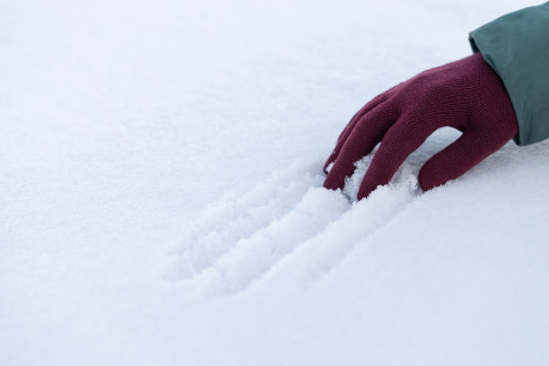 一个人用手抚摸着积雪覆盖的表面图片下载