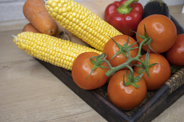 秋天蔬菜丰收健康食品图片下载