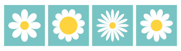 雏菊甘菊套装。白色洋甘菊图标。可爱的花卉植物。爱的名片。卡通卡哇伊滑稽集合。日益增长的概念。平面设计。绿色背景。图片下载