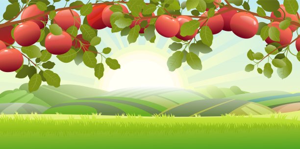 有红苹果枝的风景。乡村花园、山丘和草地的景色。夏天的早晨。明亮的太阳日出。有食用作物的花园植物。有叶子和叶子的树枝。向量图片下载