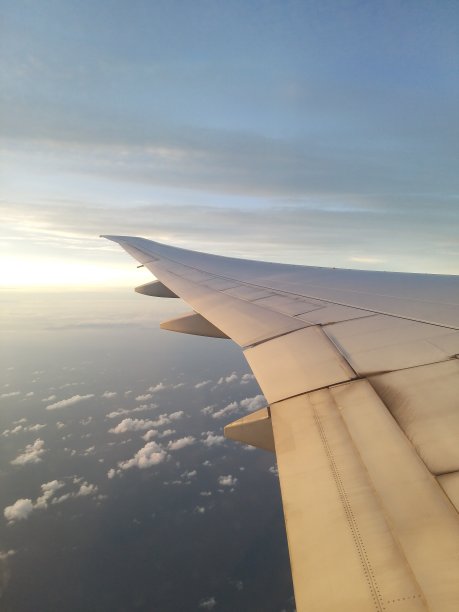 飞机在天空中飞翔图片下载