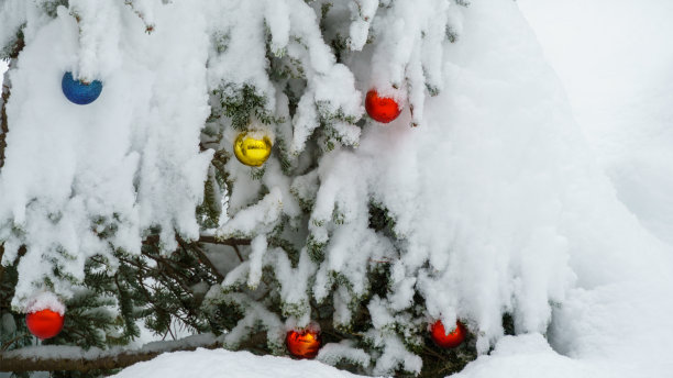 圣诞树上的玩具球挂在冷杉树枝上的雪下。真正的冬天在花园里。选择性聚焦与惊人的雪模糊。有个地方放你的短信图片下载
