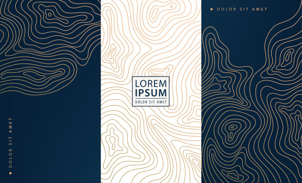 矢量地形图集横幅。等高线地理地图格局。金色和黑色，白色。标签，框架，社交网络故事，包装，奢侈品，香水，葡萄酒。图片下载