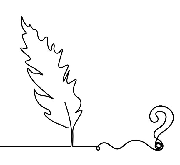 抽象羽毛轮廓与问号作为线绘制在白色图片下载