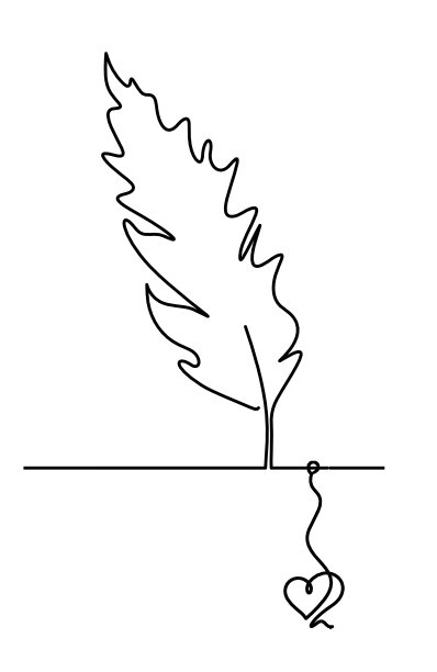 抽象的羽毛轮廓与心作为线画在白色图片下载