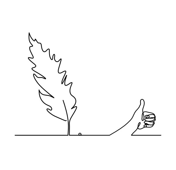 抽象羽毛轮廓与手作为线画在白色图片下载
