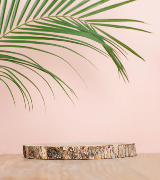 木制平台或讲台与复制空间的产品介绍在柔和的背景。图片下载