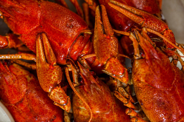 小龙虾与香草、柠檬角和混合沙拉一起在沸水中煮熟，放在一个米色的椭圆形盘子里。旁边是一个米色的陶瓷碗，盛着洋葱酱。盘子放在紫色的桌布上，旁边是一杯白葡萄酒和几块木块。图片下载