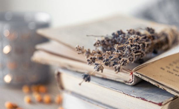 舒适的家庭组成与一堆书在模糊的背景。图片下载