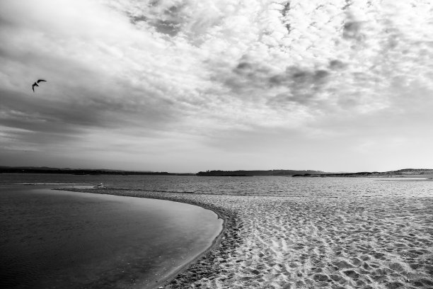 圣安德烈和桑沙泻湖自然保护区图片下载