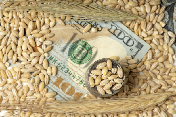 金钱和粮食图片下载