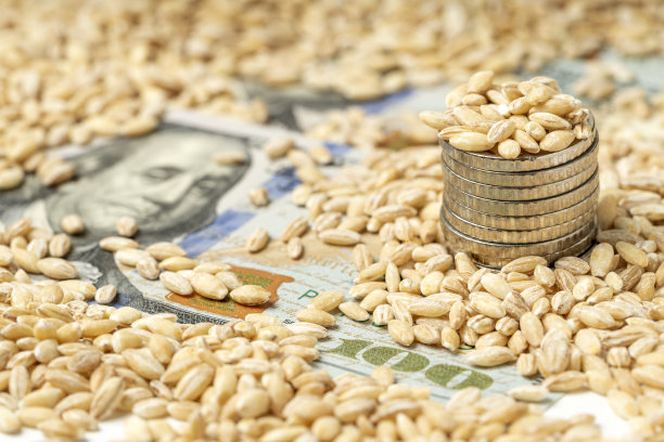 金钱和粮食图片下载