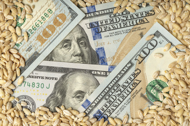 金钱和粮食图片下载