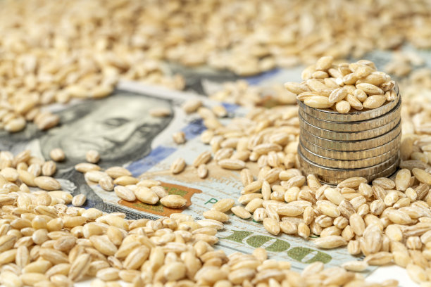 金钱和粮食图片下载