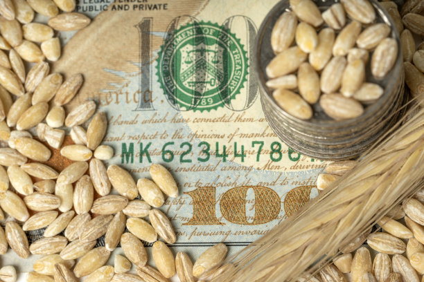 金钱和粮食图片下载