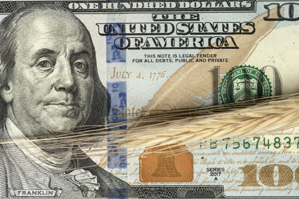 金钱和粮食图片下载