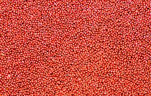 红色藜麦堆图案图片下载