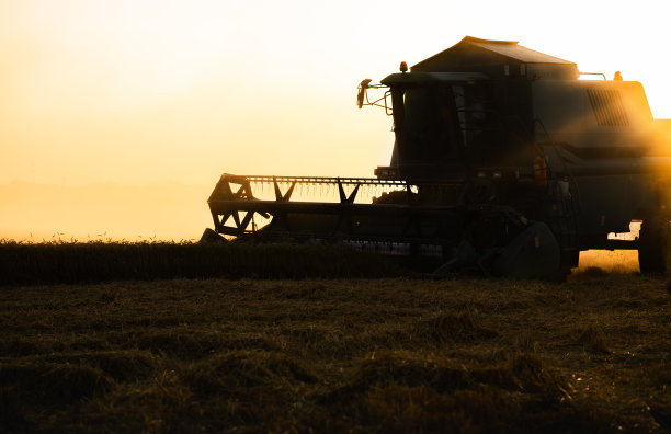 日落时分在麦田里工作的收割机。图片下载