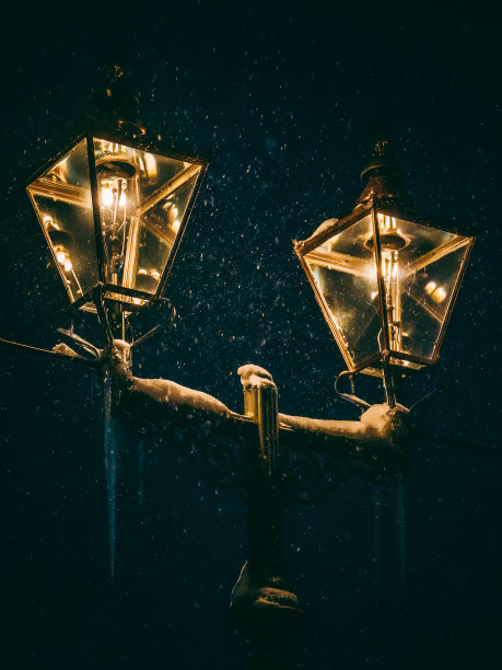 花灯在下雪的季节-08图片下载