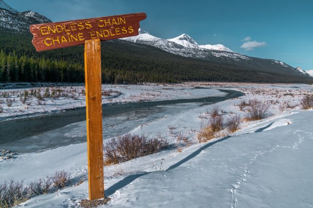 美丽的冬季景色被绿树和雪山环绕图片下载