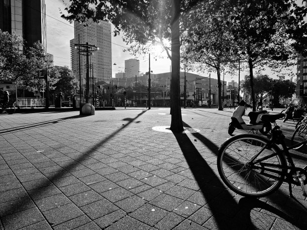 荷兰鹿特丹市中心的黑白照片图片下载