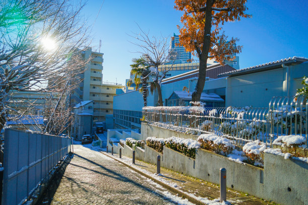 横滨市神奈川区，被雪包裹着图片下载