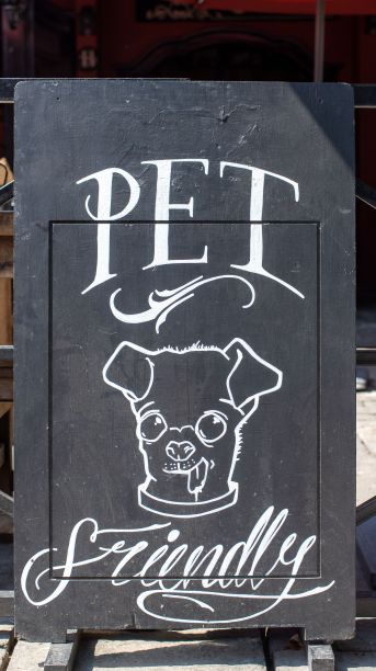 一个“宠物友好”标语的特写镜头和黑板上的一只狗的漫画图片下载