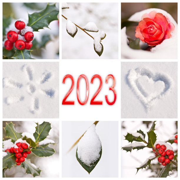 2023年，冬雪红白自然照片拼贴，新年贺卡图片下载