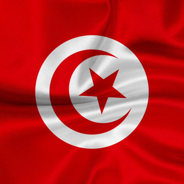 突尼斯国旗在风中飘扬图片下载