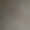 时尚的框架。设计模板。一副美丽的。图片下载