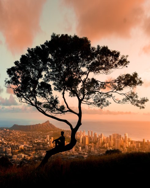 一个男人的剪影坐在一棵细树，看着城市在日落图片下载