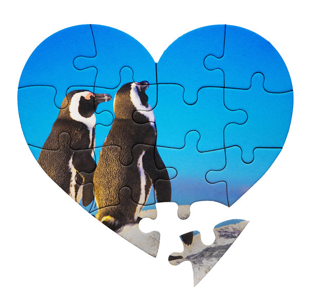 浪漫是自然的:一对企鹅情侣被描绘在心形的拼图上图片下载