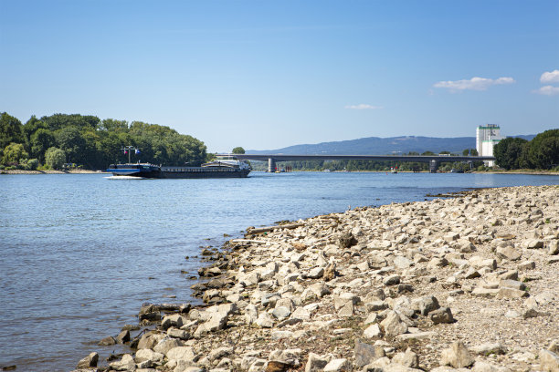 莱茵河——水位异常低图片下载