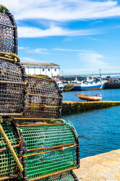 在港口里挑选一堆钓鱼篮子图片下载