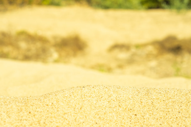 河边沙滩上干净的沙子特写，背景是绿色的灌木丛。城市休闲空间。图片下载