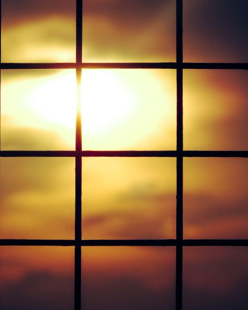 窗外阳光照得很美图片下载