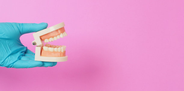 牙医正拿着粉红色背景的牙齿正畸模型。手戴蓝色乳胶手套。图片下载